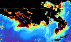 Example Oceansat Image